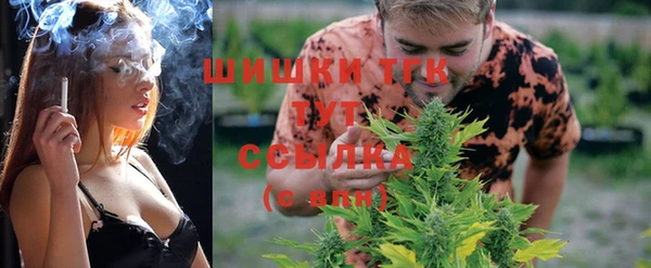 экстази Заводоуковск