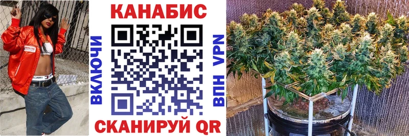Марихуана THC 21%  Купить закладки  Будённовск 